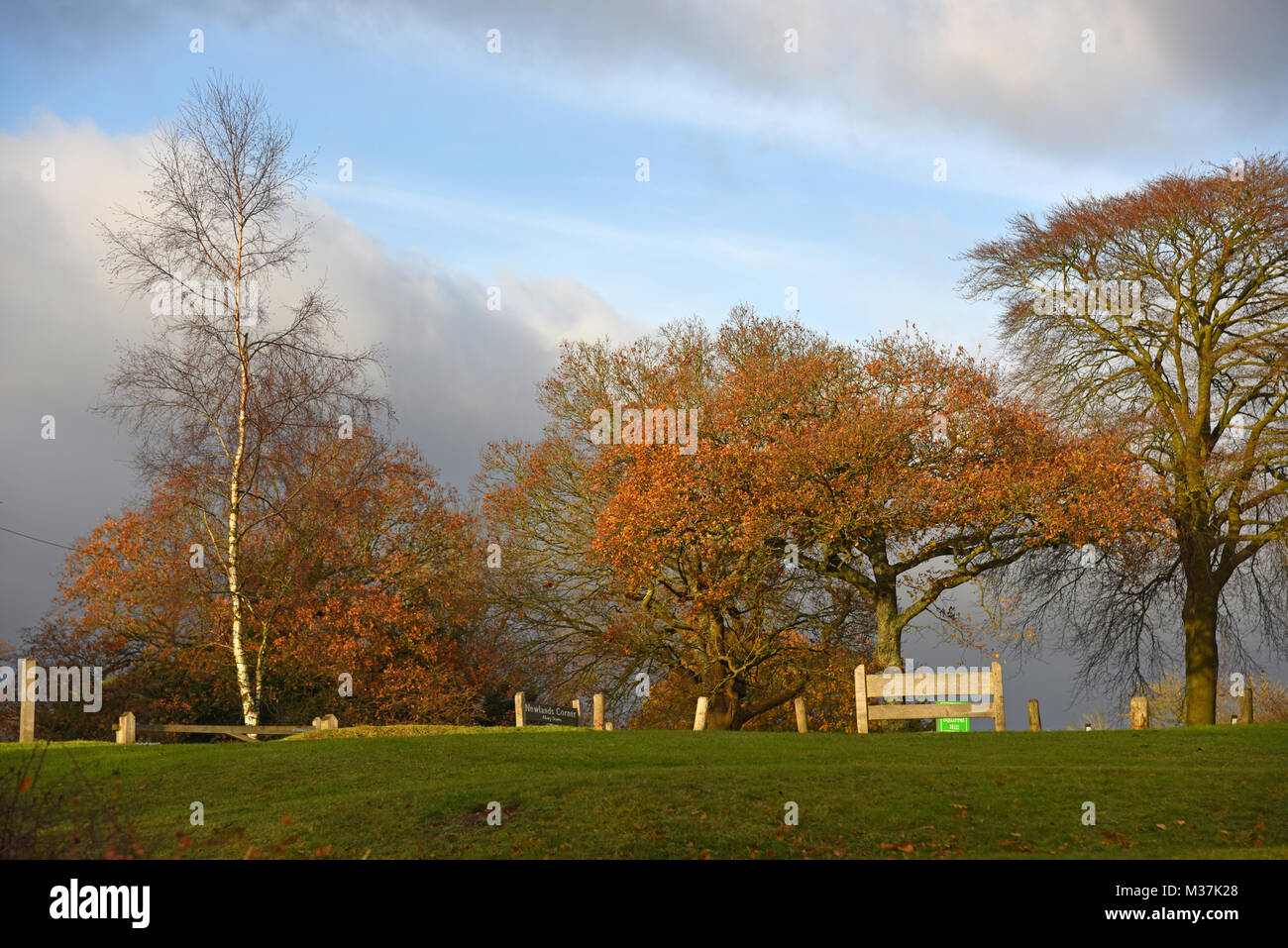 Newlands corner near Guildford Surrey Stock Photo Alamy