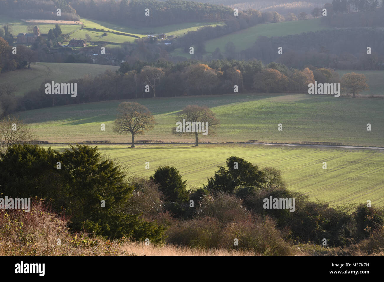 Newlands corner near Guildford Surrey Stock Photo Alamy