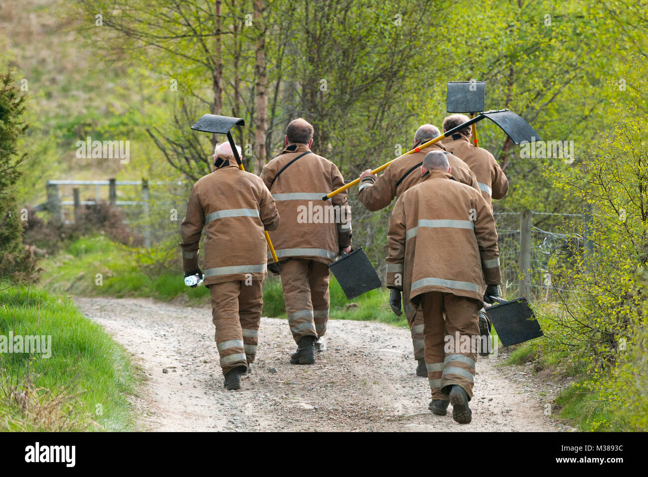 Firefighters walk away up a forest track to access a moorland fire they need to control. Stock Photo