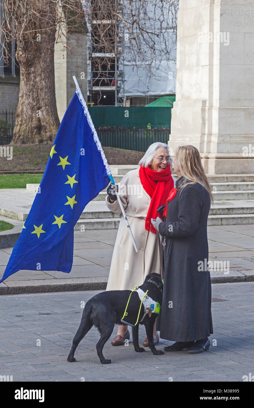 London, Westminster   Stop Brexit campaign supporters 'spreading the message' in Old Palace Yard Stock Photo