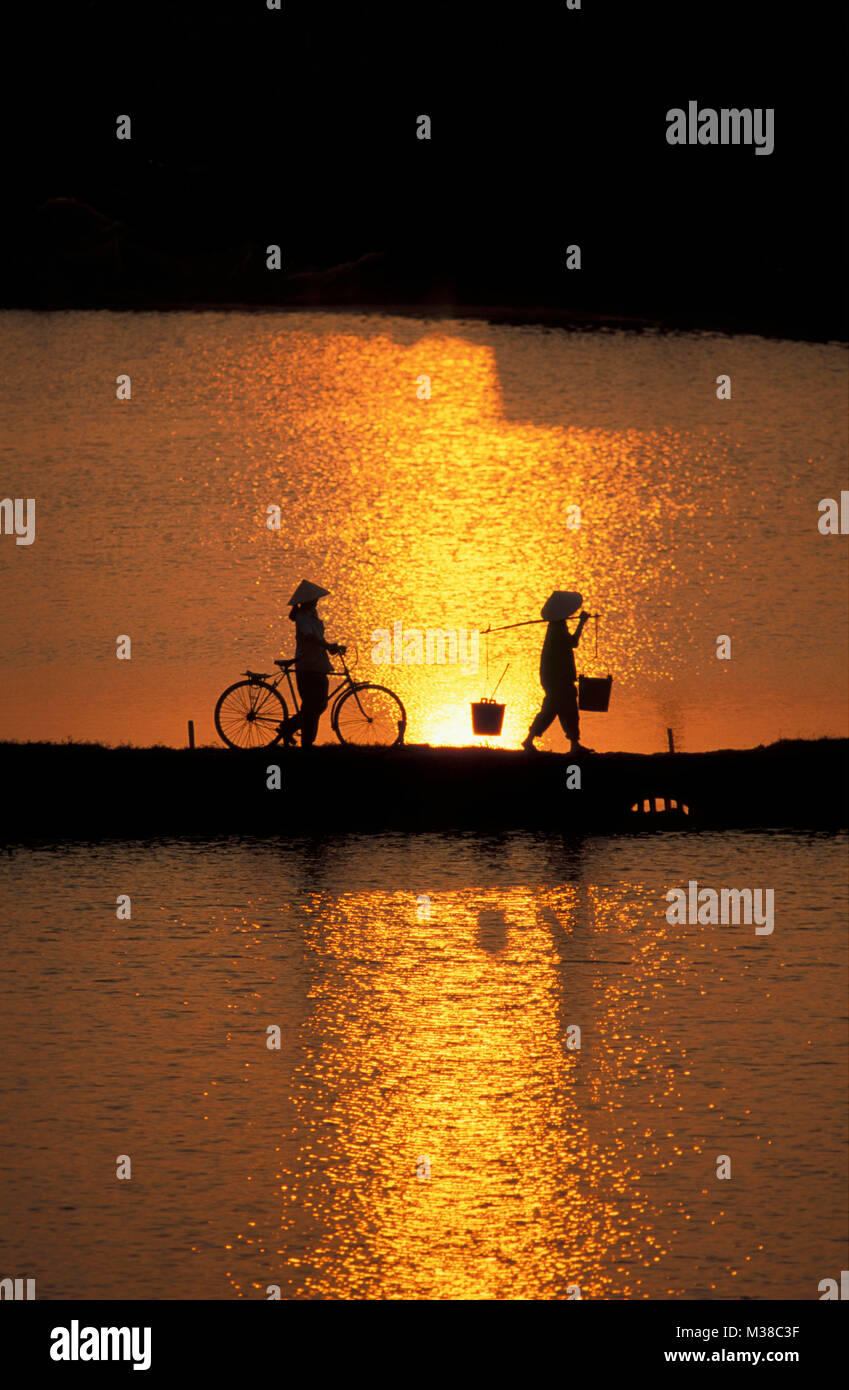 Vietnam. Near Hanoi. Women working in agriculture. Going home at sunset. Bicycle. Water buckets. Reflection of sun. Stock Photo