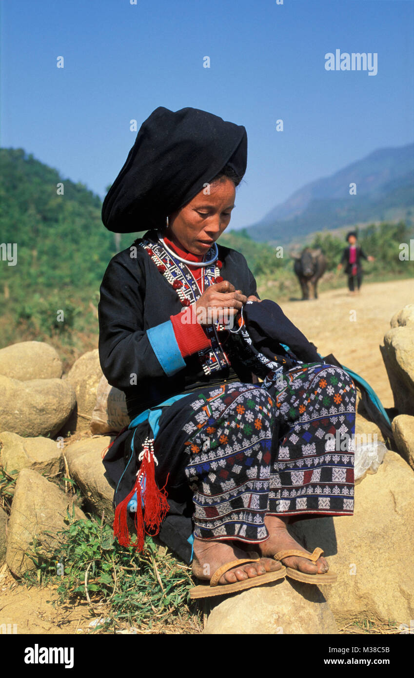 Vietnam. Sapa. Woman of Dao hilltribe embroidering own clothing. Background girl and water buffalo. Stock Photo