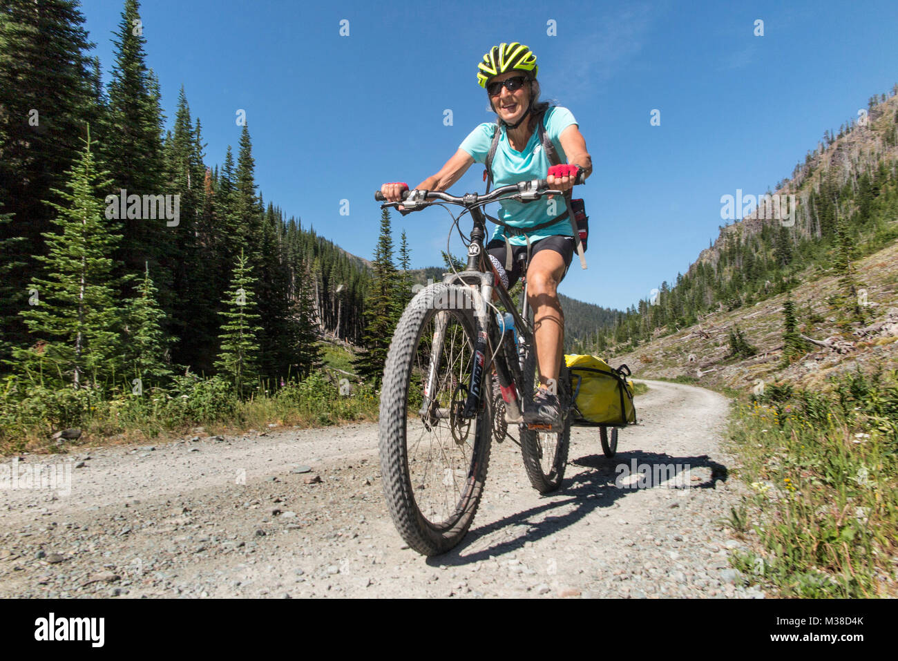 BC00639-00...MONTANA - Vicky Spring at the Whitefish Divide along Forest Service Road 114 section of the Great Divide Mountain Bike Route. Stock Photo