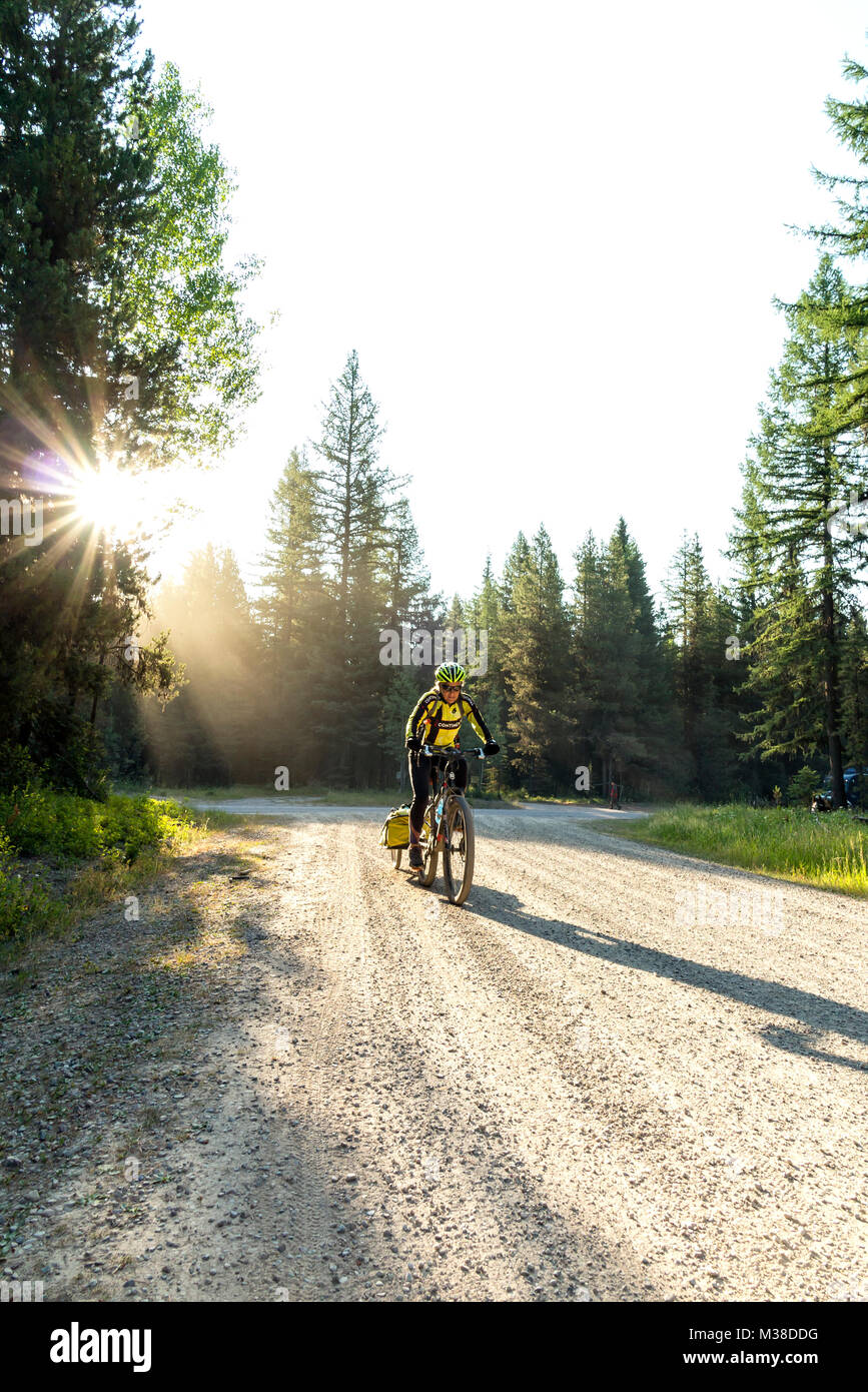 BC00652-00...MONTANA - Vicky Spring begins the climb on Forest Road 115 to Red Meadows Pass along the Great Divide Mountain Bike Ride. Stock Photo