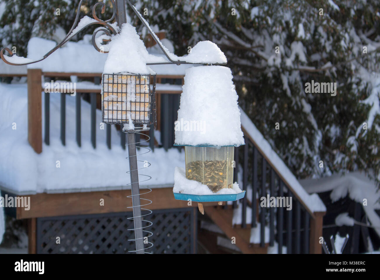 winter scene Stock Photo