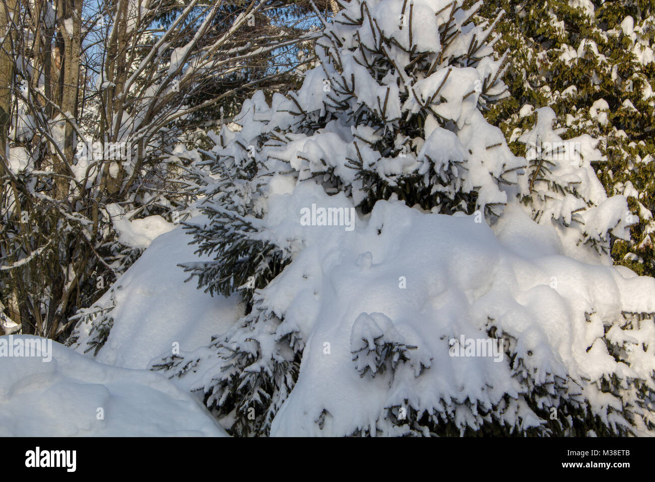 Chargé de neige hi-res stock photography and images - Alamy