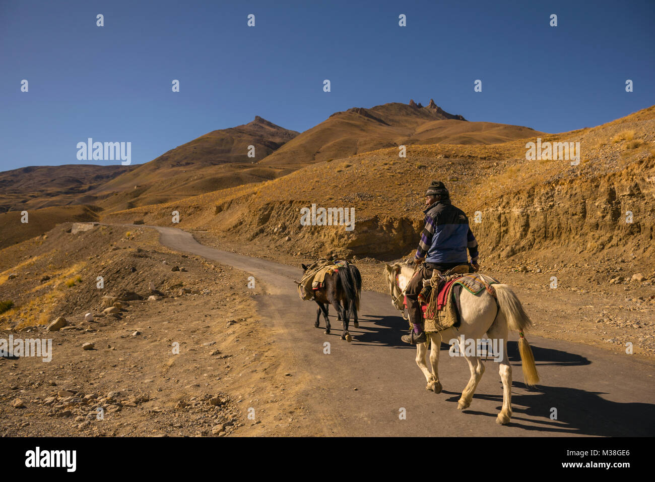 A Man riding a horse and guiding packhorses through a mountain road Stock Photo