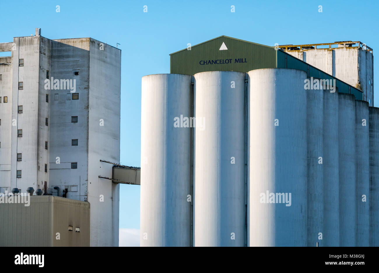 Chancelot flour mill with huge grain silos, Newhaven, Edinburgh, Scotland, UK Stock Photo