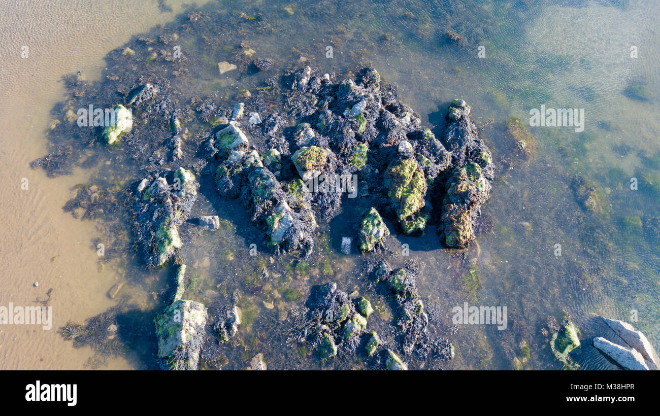 Aerial view of rock pool Seahouses Beach Northumberland UK Stock Photo ...