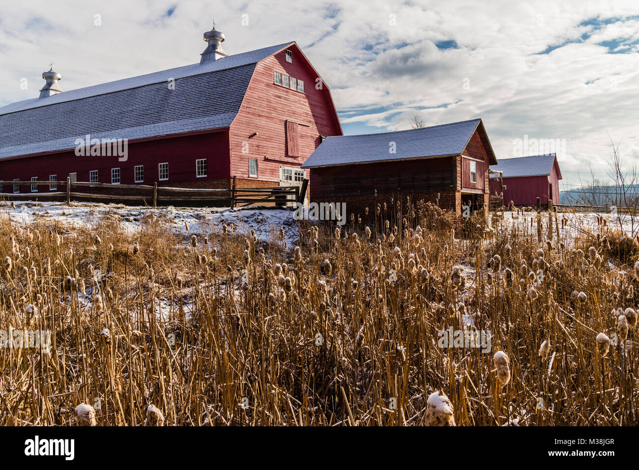 Community Farm of Simsbury Simsbury, Connecticut, USA Stock Photo Alamy
