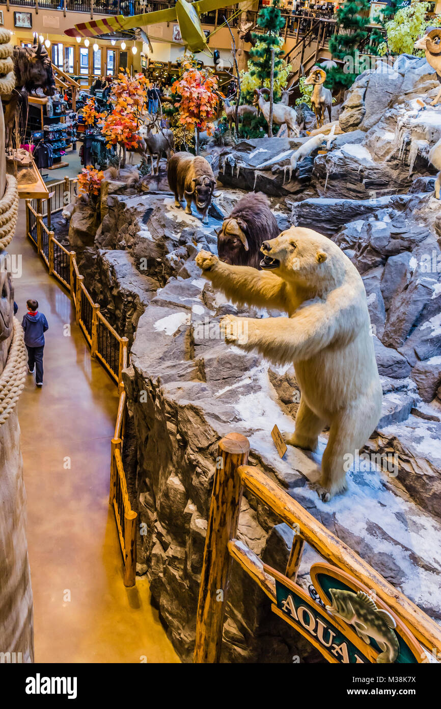 Cabela's East Hartford, Connecticut, USA Stock Photo Alamy