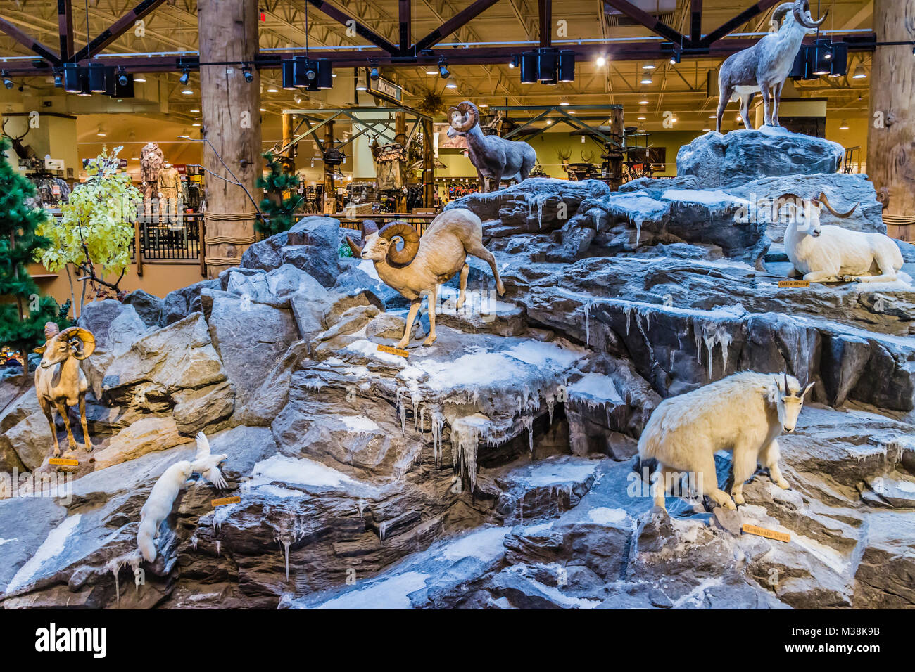Cabela's East Hartford, Connecticut, USA Stock Photo Alamy