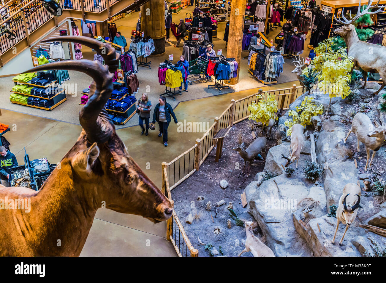 Cabela's East Hartford, Connecticut, USA Stock Photo Alamy