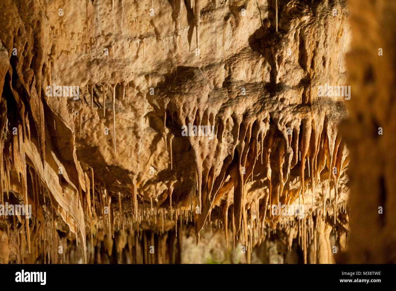 Caves of Drach with many stalagmites and stalactites. Majorca, Spain Stock Photo