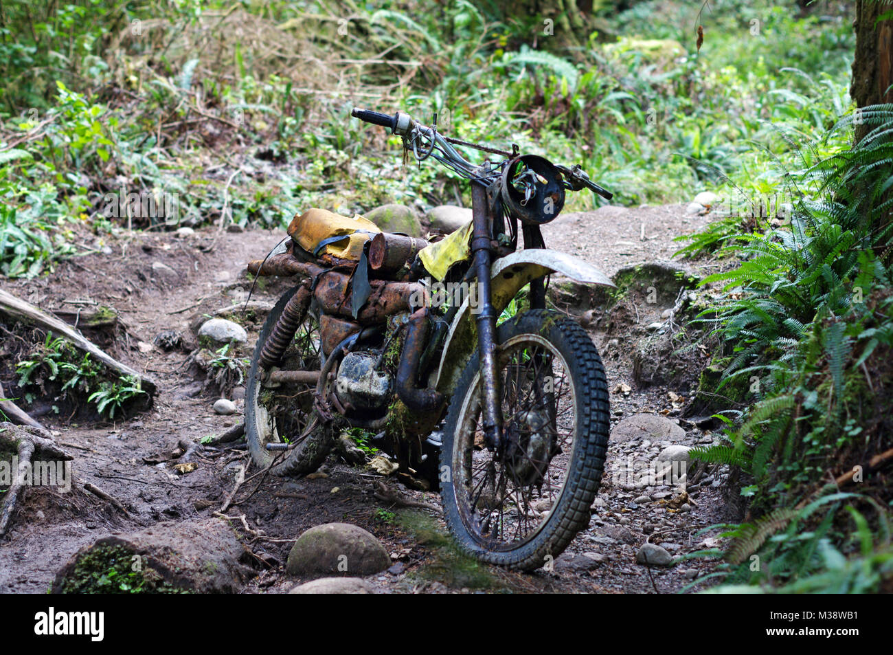 Old abandoned motorcycle in forest Stock Photo