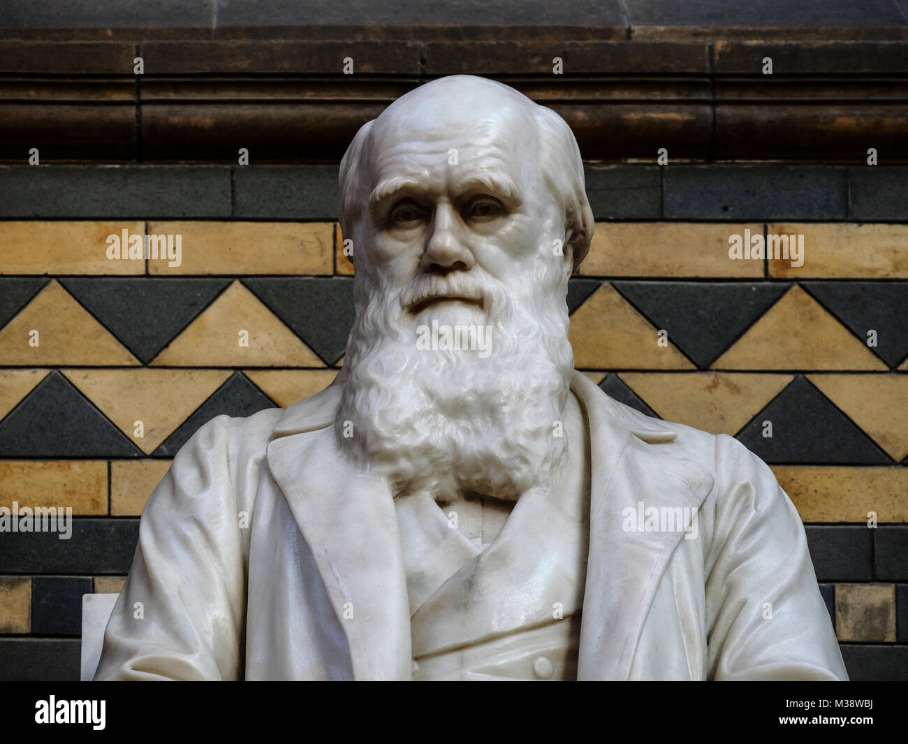 Natural History Museum Stock Photo Alamy