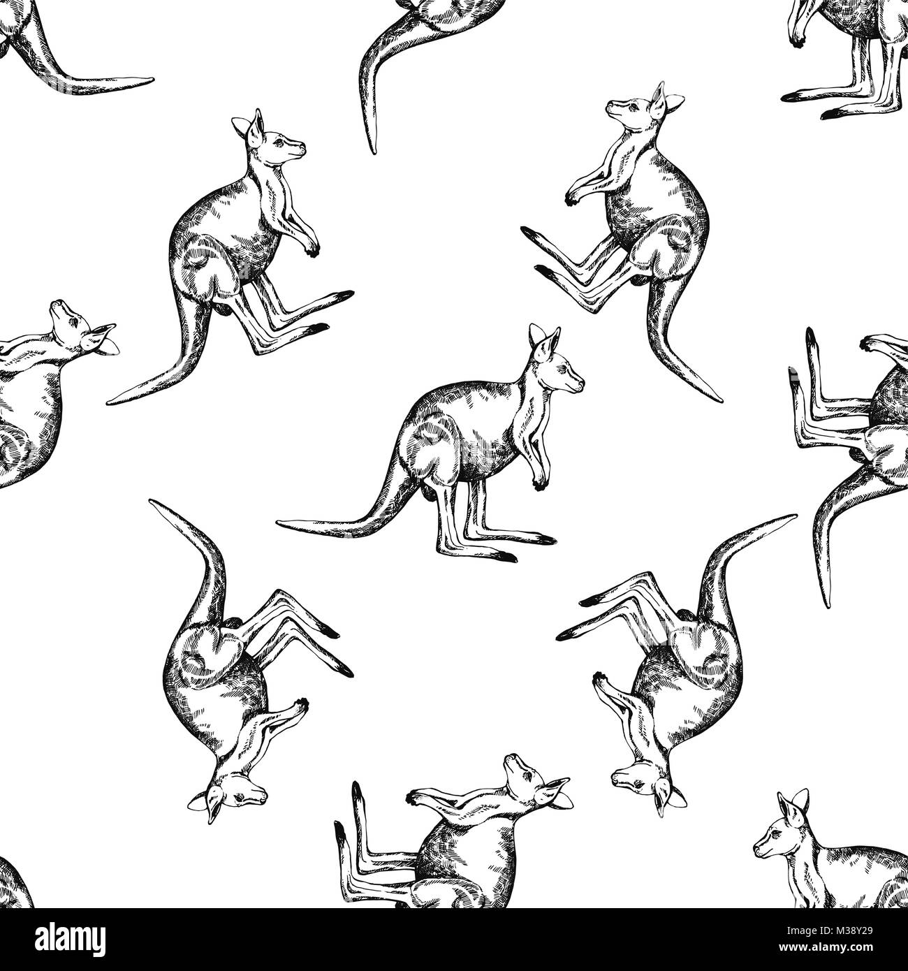 Seamless pattern of hand drawn sketch style kangaroo. Vector