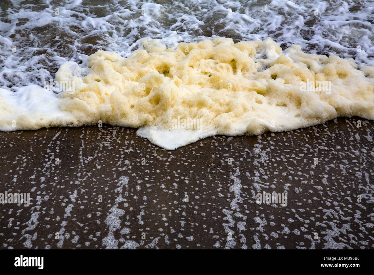 Yellow foam being washed up on the south coast of the Isle of Wight Stock Photo