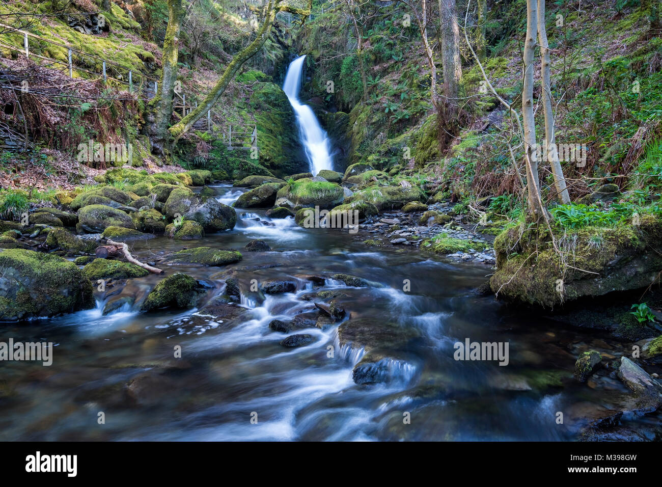 Dolgoch Falls, near Tywyn, Snowdonia National Park, Gwynedd, North Wales, UK Stock Photo