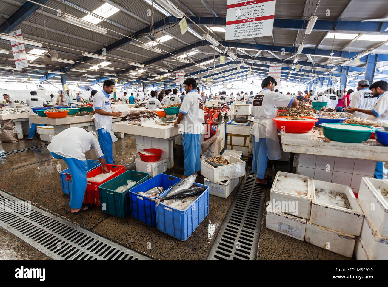 Abu dhabi fish market hires stock photography and images Alamy