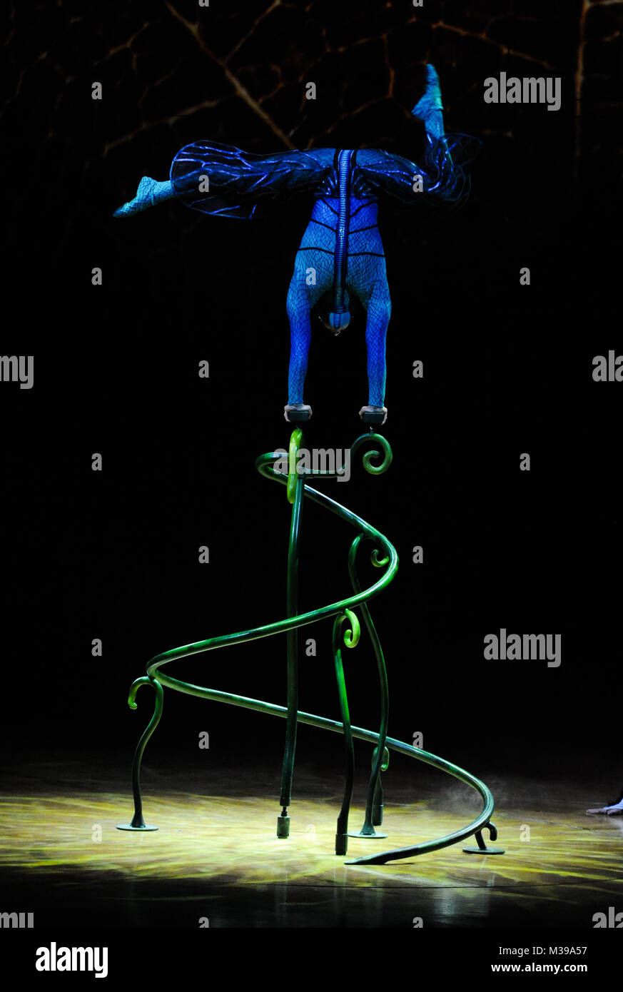 Cirque Du Soleil 'OVO' dress rehearsal at the Royal Albert Hall