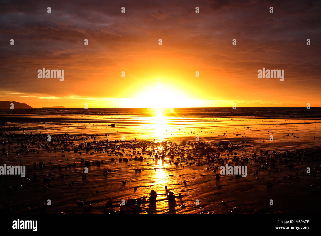 Beach sunset landscape shells hi-res stock photography and images - Alamy