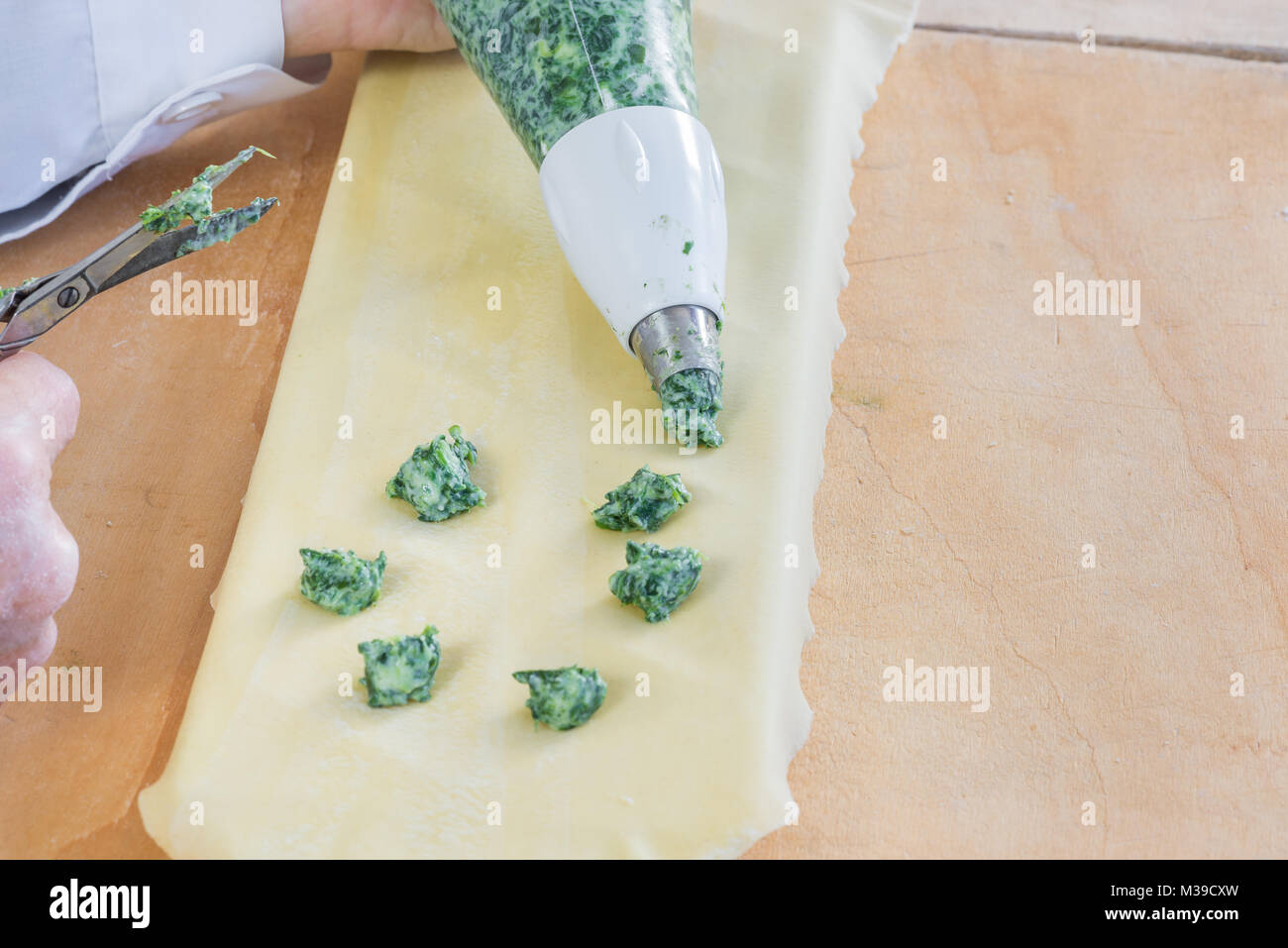 Traditional Italian pasta. Preparation phase of tortelli with spinach and ricotta using a pastry bag. Cooked and minced spinach on homemade pasta Stock Photo