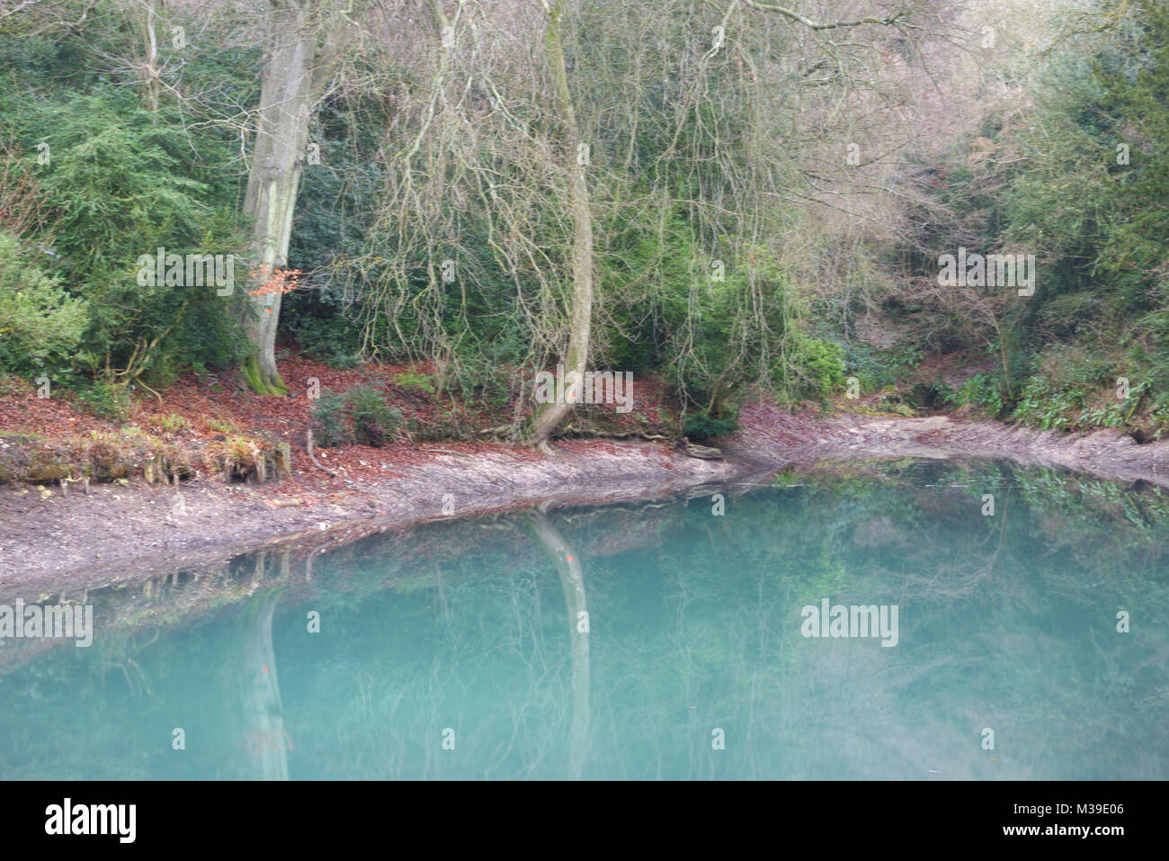 Silent pool gin hi-res stock photography and images - Alamy
