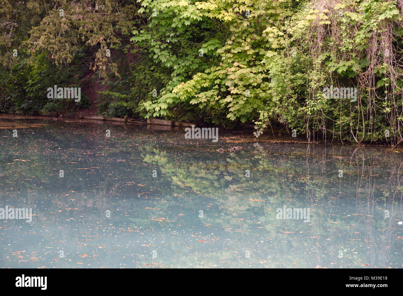 Silent pool gin hi-res stock photography and images - Alamy