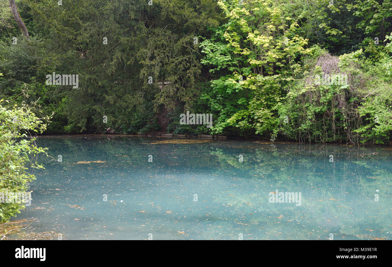 silent pool  albury near Guildford Surrey Stock Photo