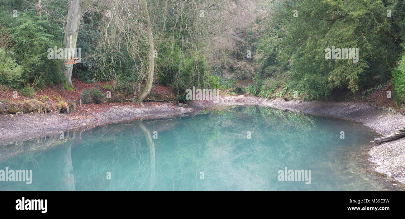 silent pool  albury near Guildford surrey Stock Photo