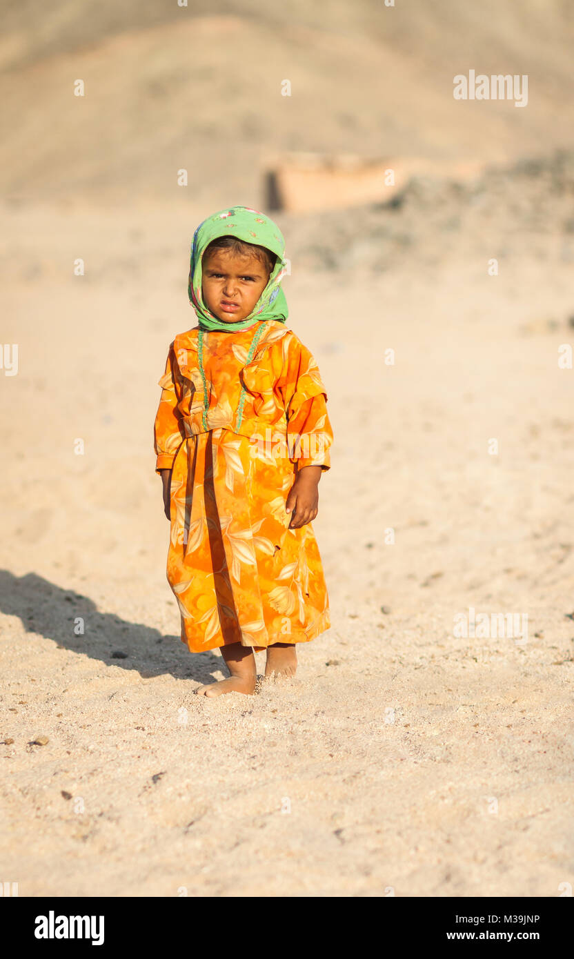 Desert bedouin camel hijab hi-res stock photography and images - Alamy