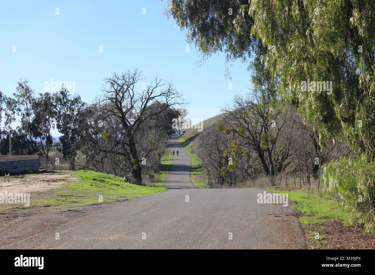 Birds landing hires stock photography and images Alamy