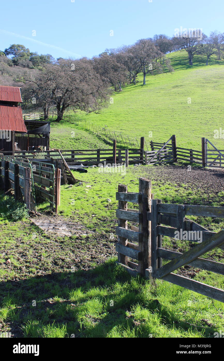 Borges Ranch, Walnut Creek, California Stock Photo