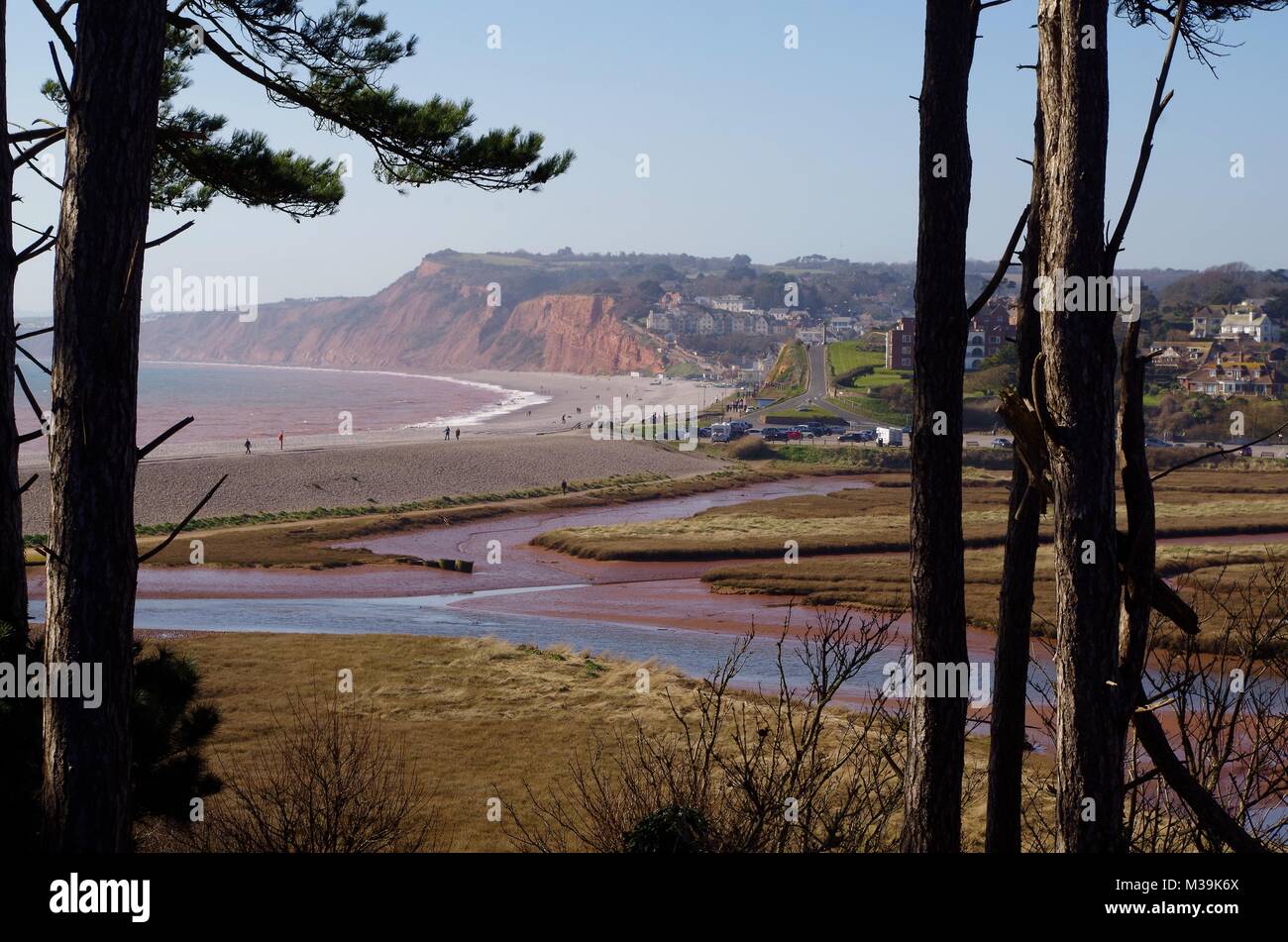 Salt Marsh and Shingle Beach at the Mouth of the River Otter. Budleigh