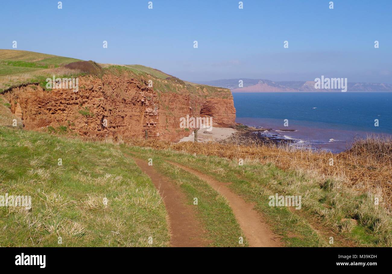 Red Sandstone Sea Cliff Otterton Formation Budleigh Salterton South West Coast Path And