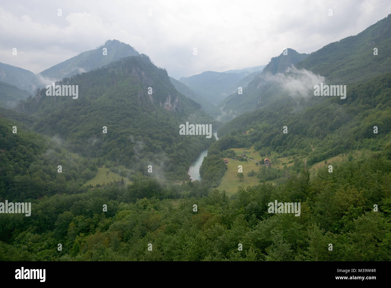 Scenic high angle view of Tara River canyon between wooded mountains from Durdevica Bridge in cloudy summer day in Montenegro. Stock Photo