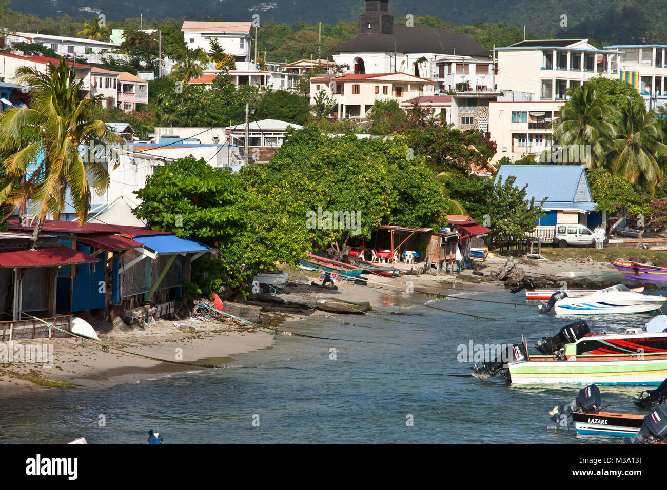 Fish Martinque Martinique, Sainte Luce, southern coast, fishing village, harbor, fish ...