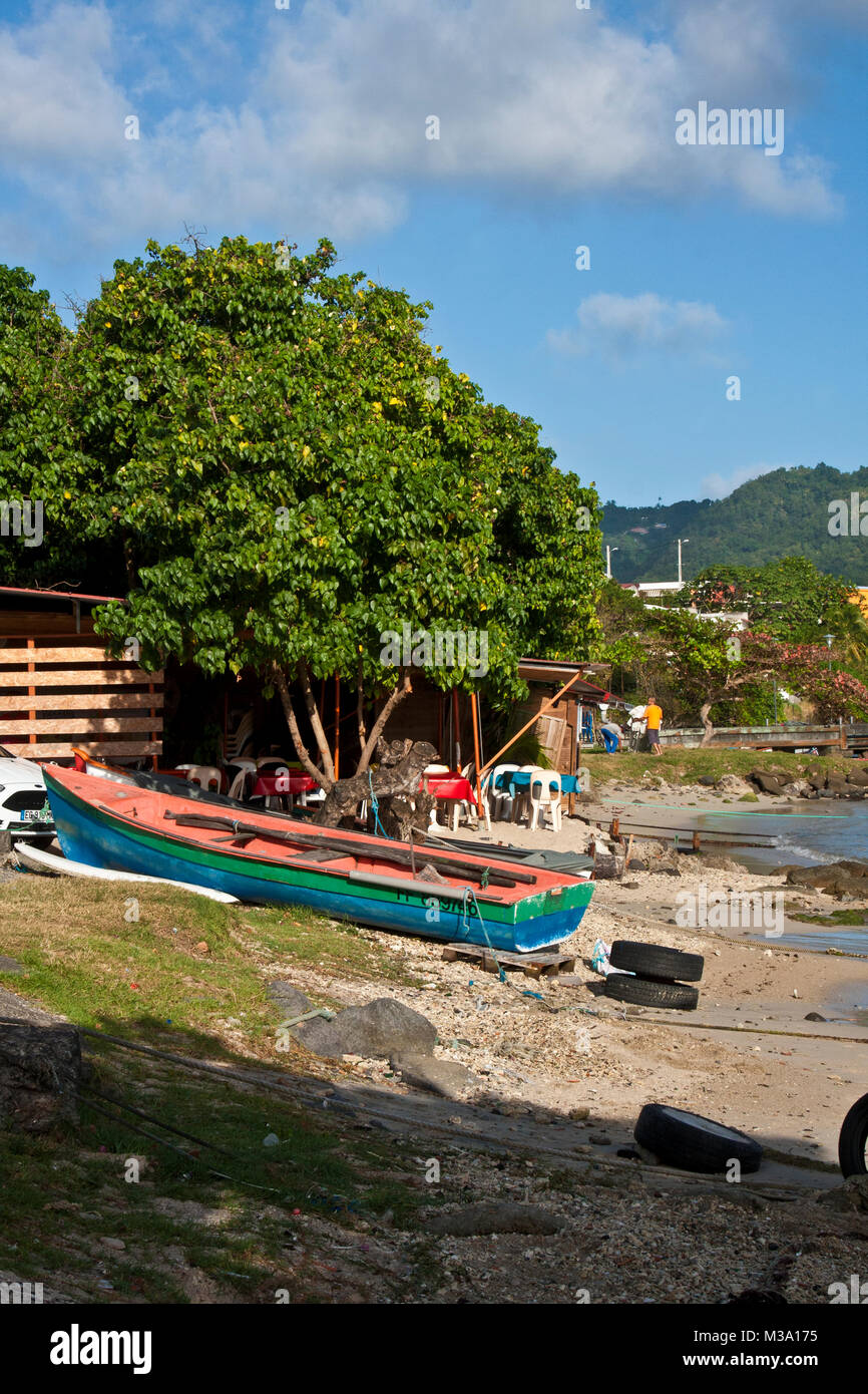 Fish Martinque Martinique, Sainte Luce, southern coast, fishing village, harbor, fish ...
