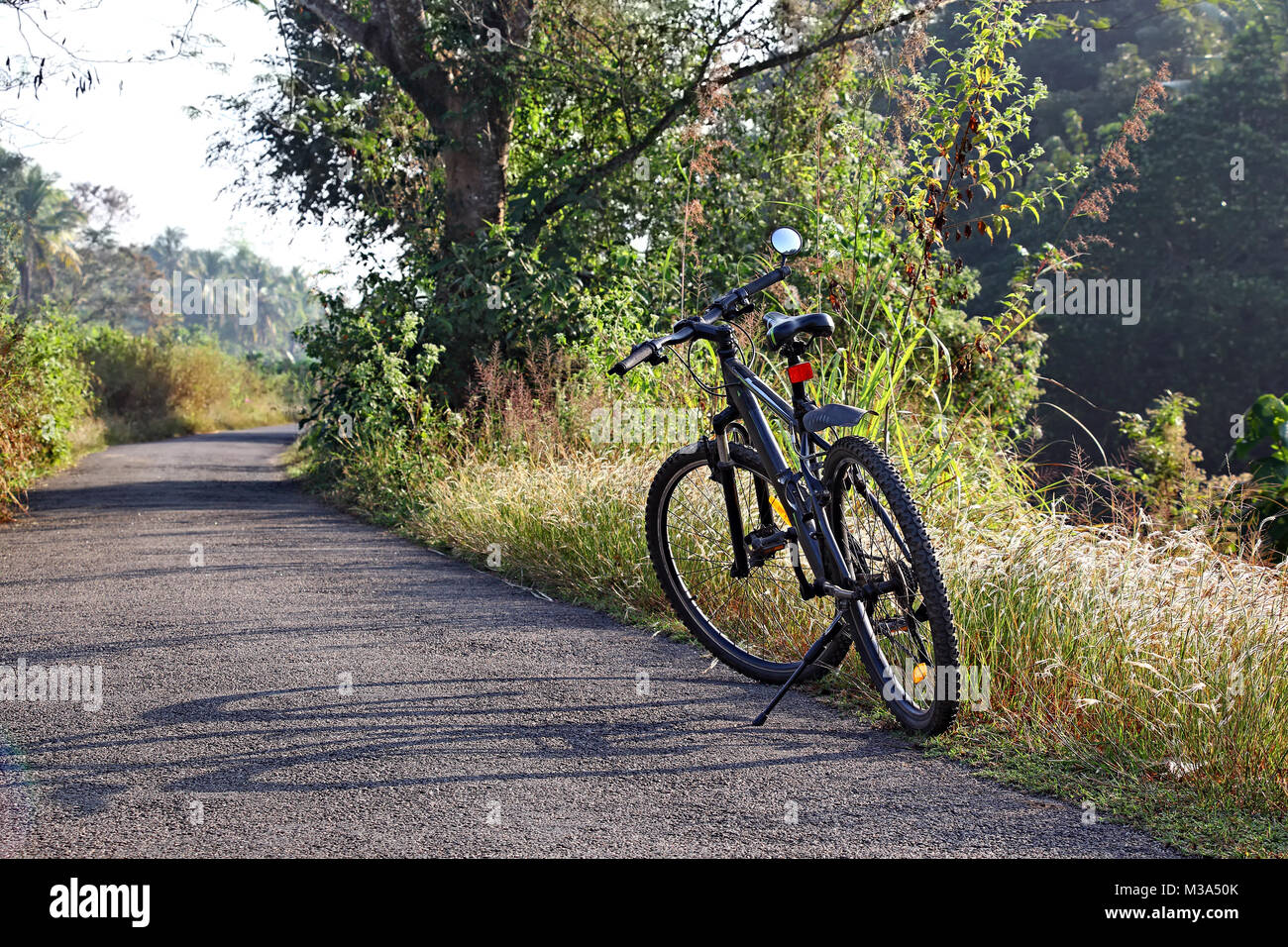 Bicycle parked on a winter morning while riding along tranquil countryside road in Kerala, India Stock Photo