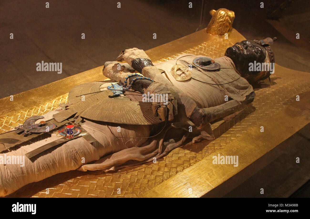 Ancient Egyptian mummy body preserved by mummification Stock Photo Alamy