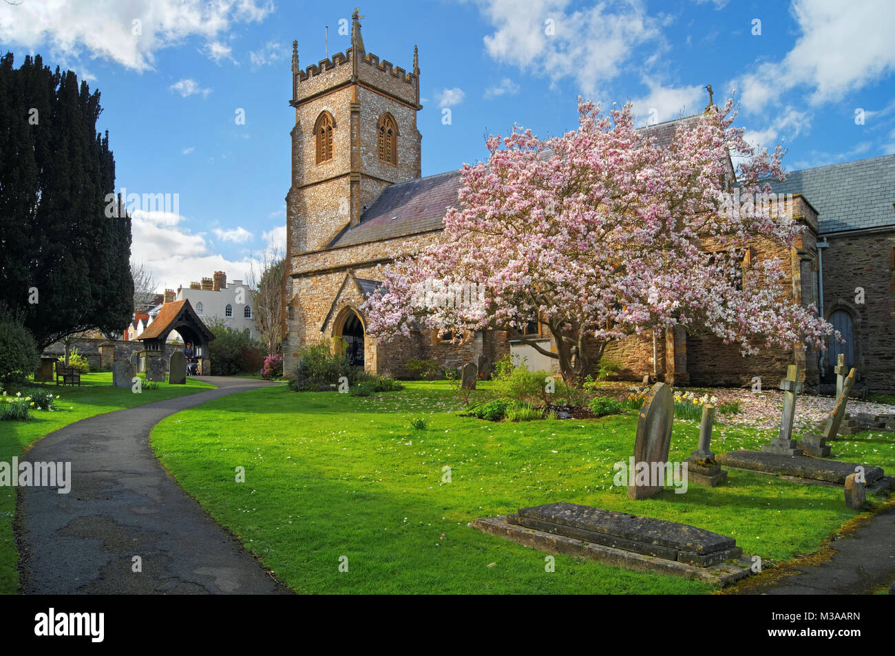 UK,Somerset,Taunton,Wilton,St Georges Church in Spring Stock Photo