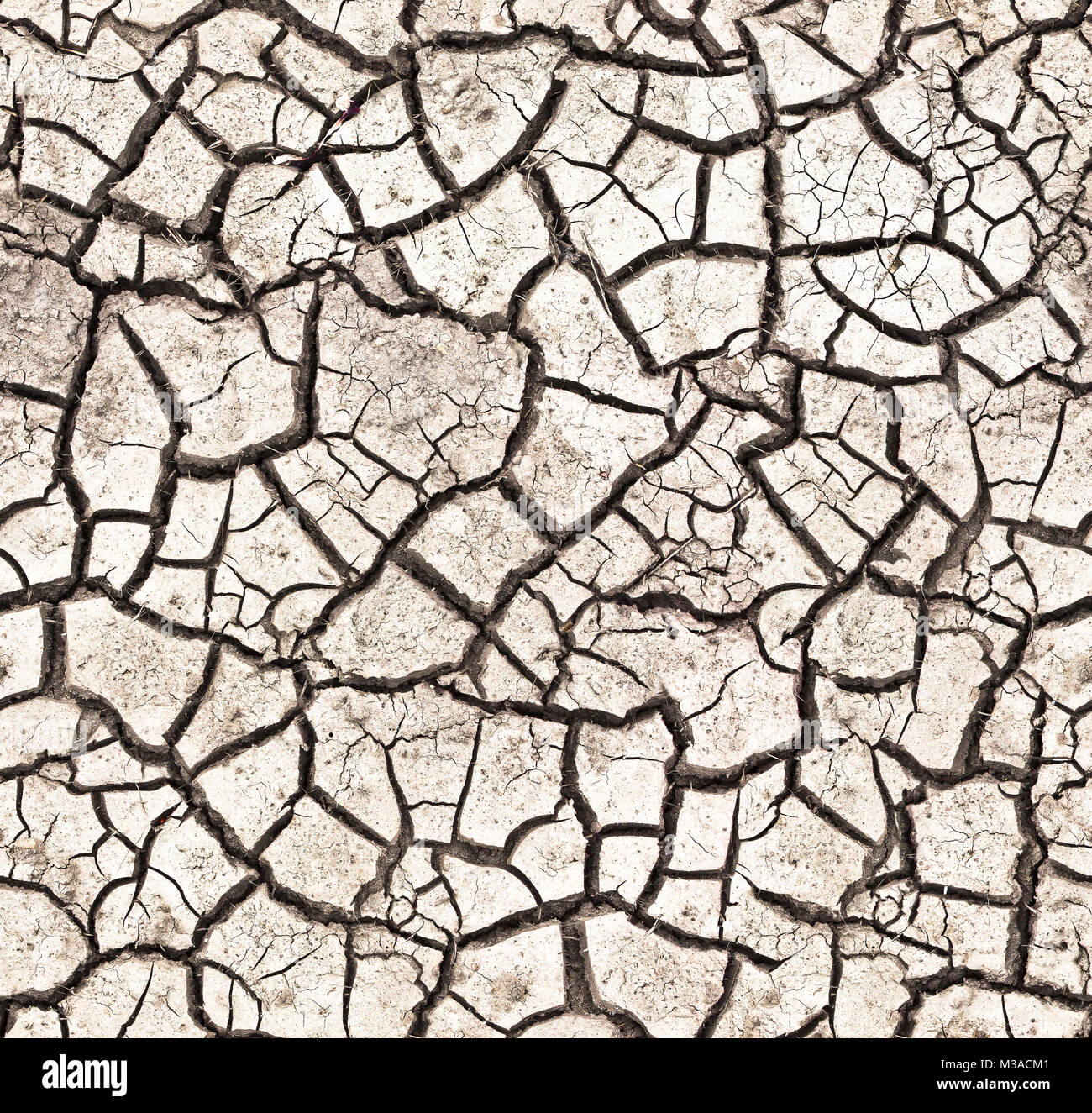 eroded  soil vertical and horizontal semless pattern Stock Photo