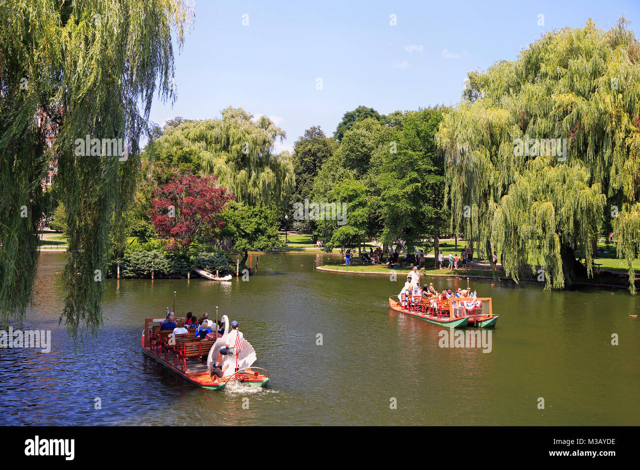 Tourists riding and enjoying Swan boats on the lake, Public Garden in Boston. The boats have been in operation since 1877. Stock Photo