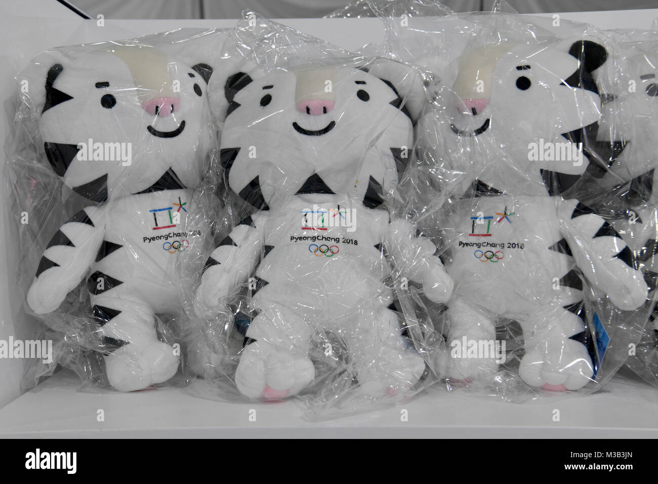 Gangneung, South Korea. 20th Feb, 2018. White tiger Soohorang, the