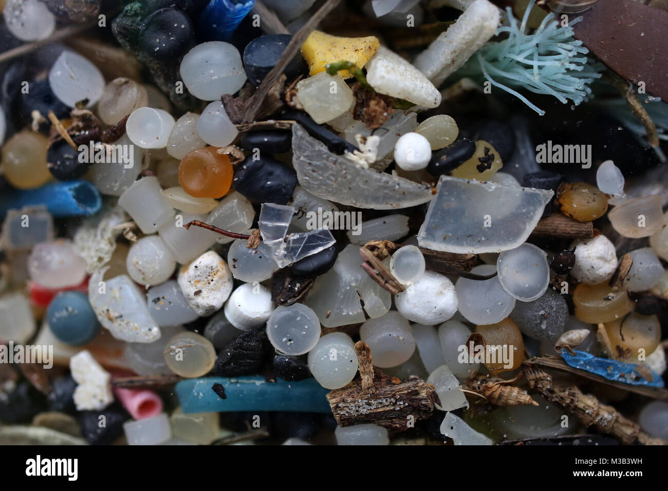West Wittering Beach, West Sussex, UK. A huge beach clean pictured with members of the public collecting plastic from the beach alongside the Surfers Against Sewage group.  Saturday 10th February 2018 © Sam Stephenson/Alamy Live News. Stock Photo