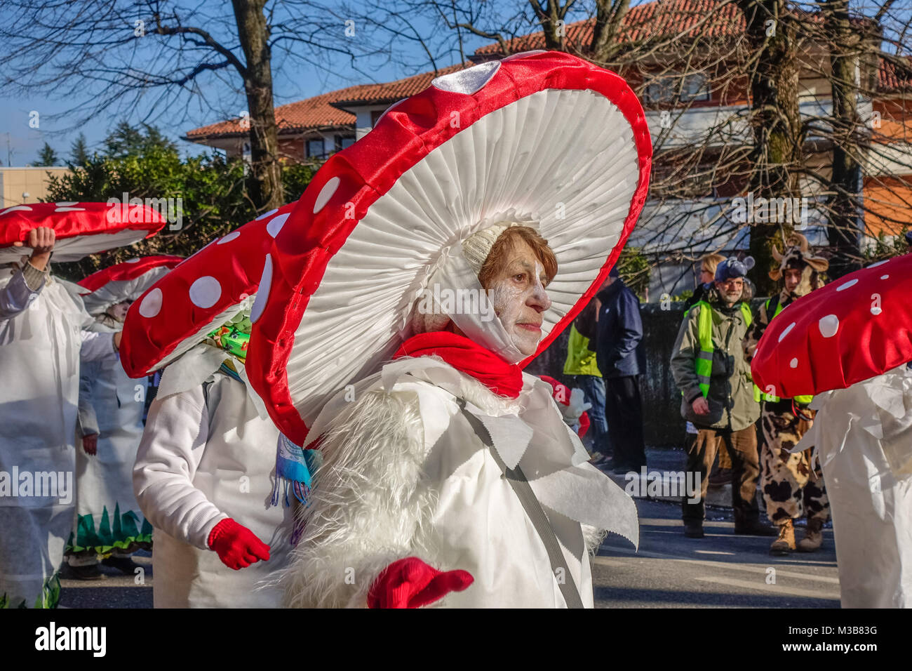 OPICINA,TRIESTE, ITALY - FEBRUARY 10, 2018: Unidentified participants in parade of the Carnival Kraski Pust or Carnevale Carsico. The Carnival Carsico Kraski Edition 51 on February 10, 2018 at Opicina. Its the oldest carnival on Karst. Stock Photo