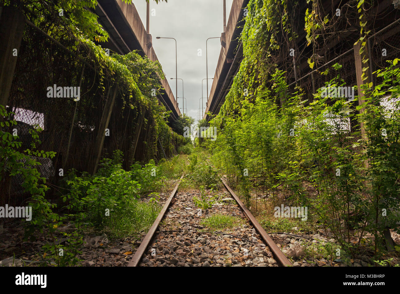 Klong toey slum hi-res stock photography and images - Alamy