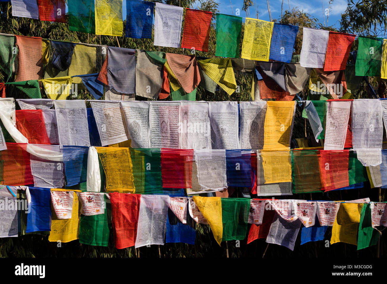 Colorful buddhism prayer flags on the Observatory hill in Darjeeling