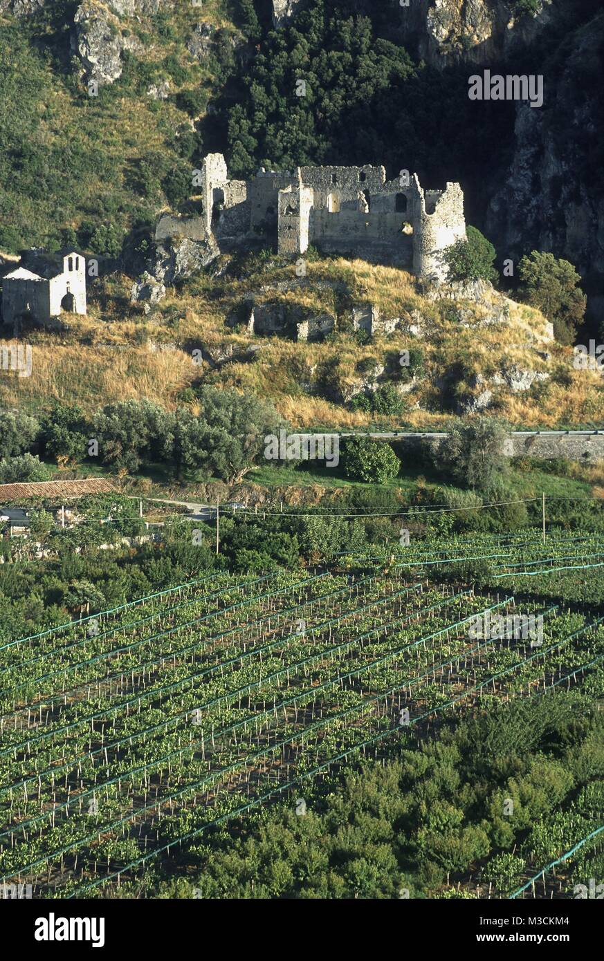 Calabria (Italy), Cedar Coast, Norman castle of San Michele and plantations of cedars in Santa Maria del Cedro Stock Photo